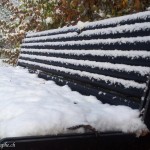 Un banc molletoné de blanc